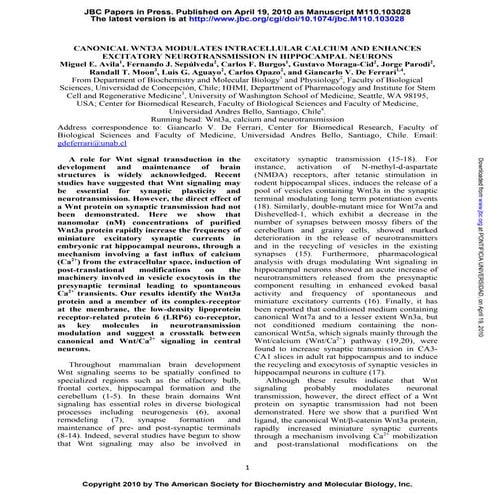 Avila et al 2010 wnt 3
