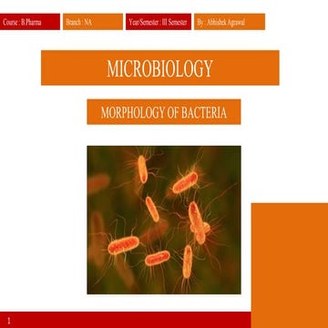 Classification of bacteria | PDF