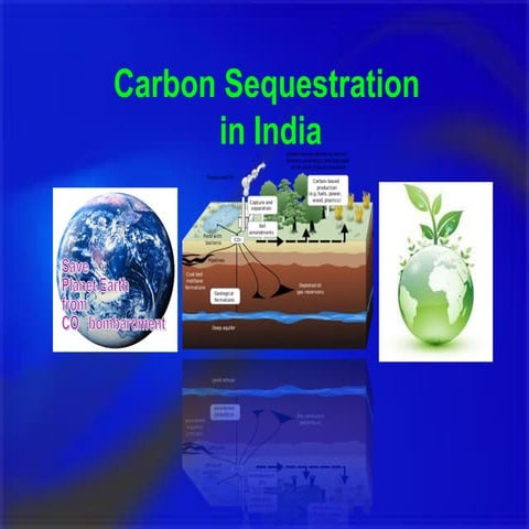 Carbon Sequestration the Need of Humanity 