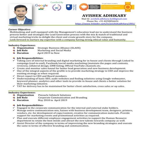 The Digital Marketing Strategist