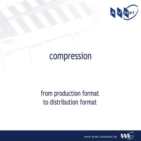 Avlm 2009  Compression   Erik Luyten
