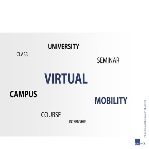 Avlm 2009  Virtual Mobility