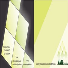 AVN Consulting Brochure