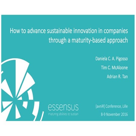 How to advance sustainable innovation in companies