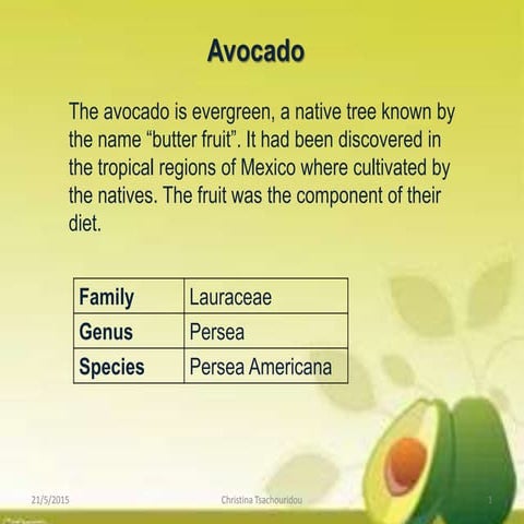 Avocado | PPTX