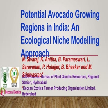 Avocado09.05.2024.ppt