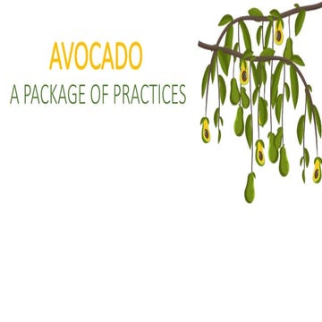 Fruit Crop AVOCADO Package of Practices.pptx
