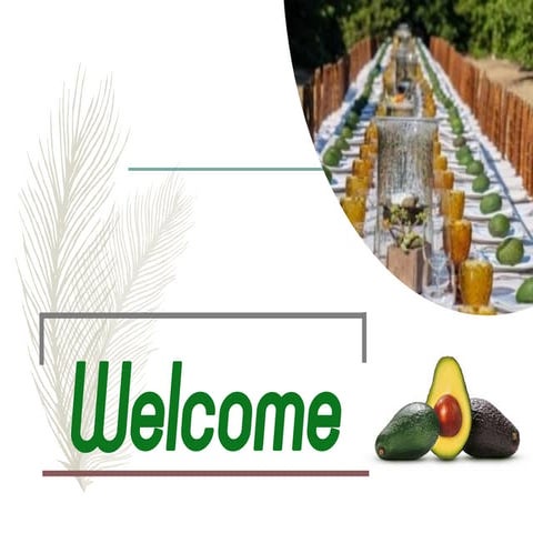 Package of Practices of Avocado