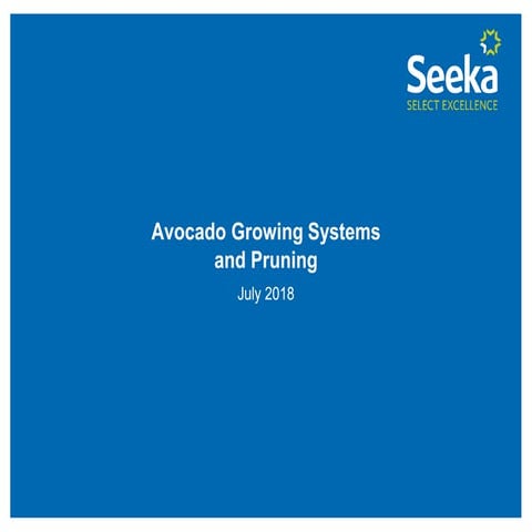 Realização de poda em abacateiros cultivados