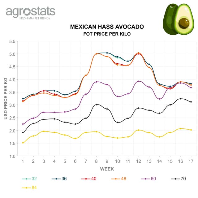 AVOCADO FOT PRICE REPORT JAN - MAY 2020 | PDF