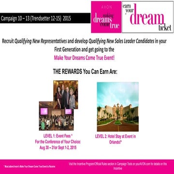 Avon incentive en