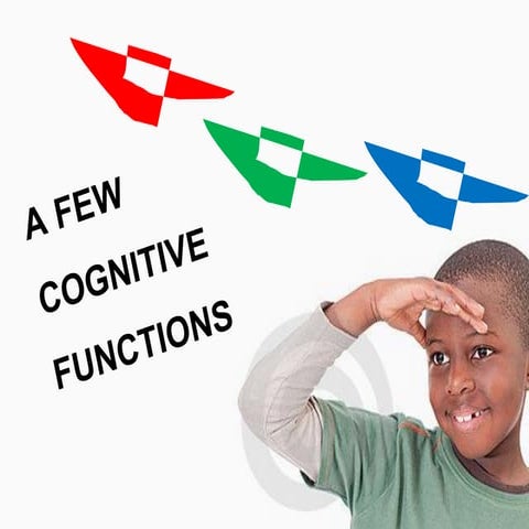 Wow- A fantastic cognito Journey