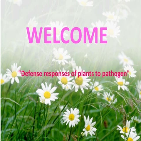 Avs defense responses of plants to pathogen