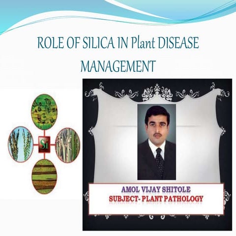 Avs role of silica in plant disease management