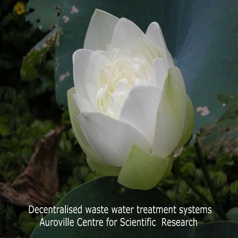 Dewats Decentralised natural waste water treatment system