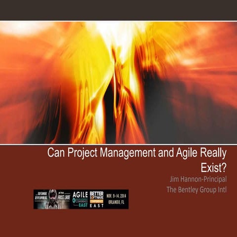 How Agile and Project Management Can Coexist