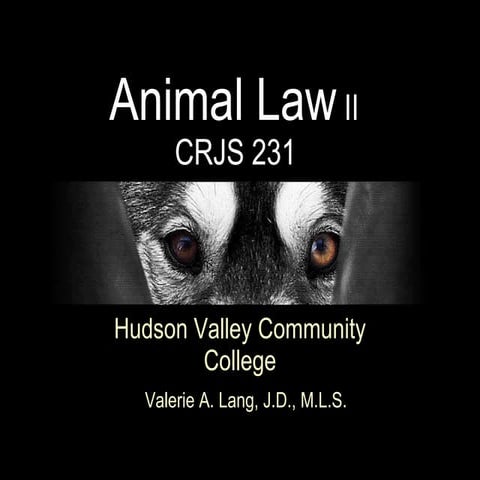 The Animal Welfare Act