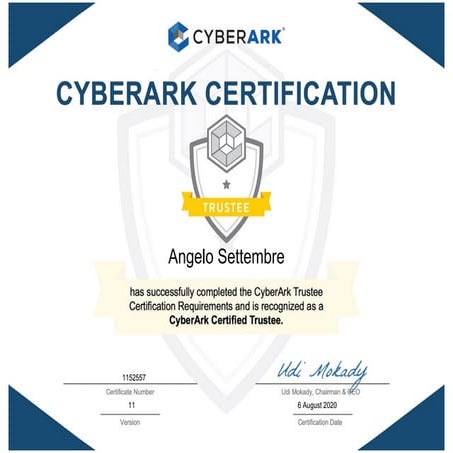 SentinelOne Partner Sales Accreditation 101 Certificate.pdf