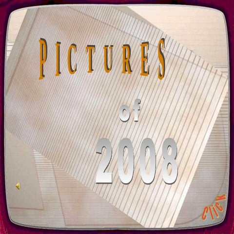 Award_winning_photos_2008