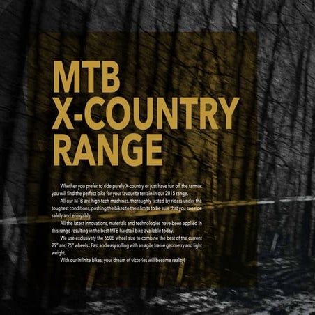 Infinite Bicycles - Imported Bikes - Mtb, Road, Sports, Kids Bikes 