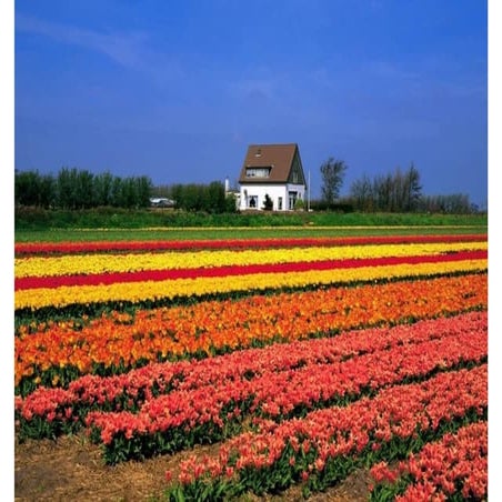 Awesome Photographs From Planet Earth