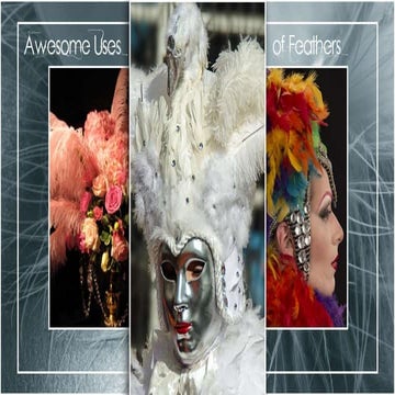 Awesome uses of feathers