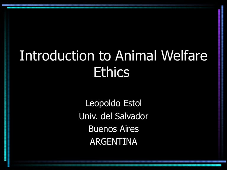 Introduction To Animal Welfare Ethics