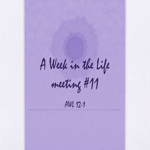 Awl 12 1 meeting #11
