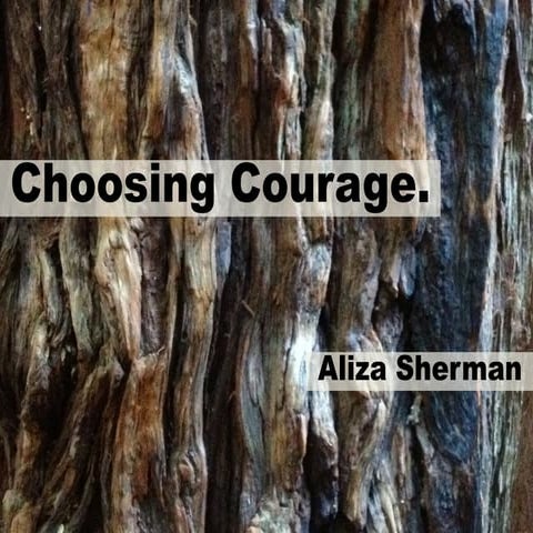 Choosing Courage - Life is a Series of Choices. What do you choose?