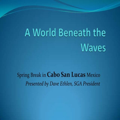 A world beneath the waves