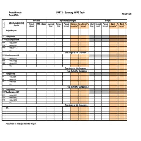 Annual Workplan & Budget 2010 part 2 Excel templates-revised | XLS
