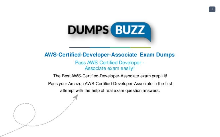 Test AWS-Certified-Developer-Associate-KR Cram Review