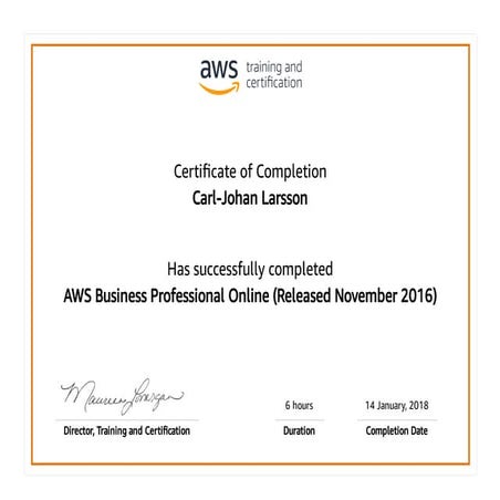 AWS Business Professional Certification