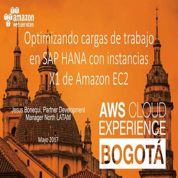 Optimizando cargas de trabajo en SAP Hana con instancias x1 de Amazon EC2
