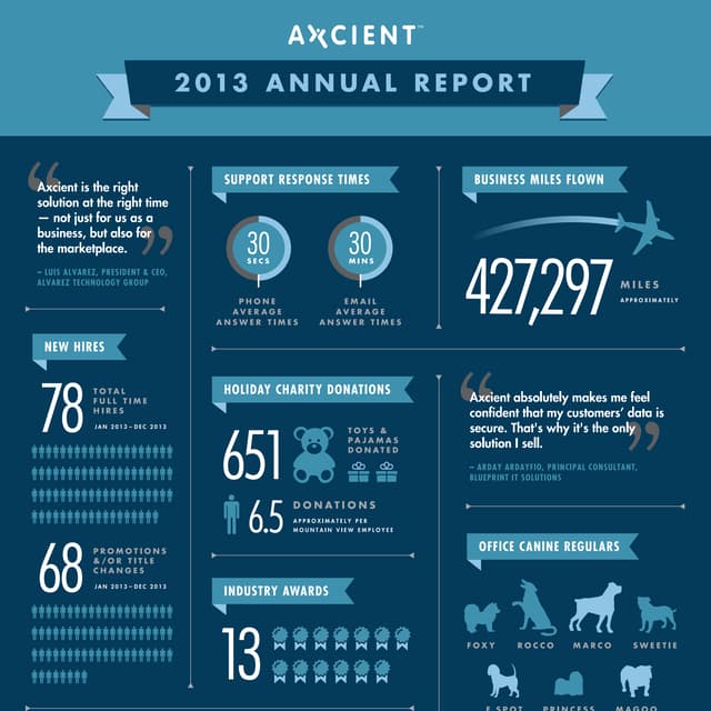 Axcient 2013 Annual Report Infographic