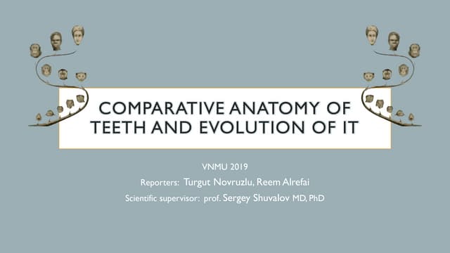 Evolution of teeth in vertebrates