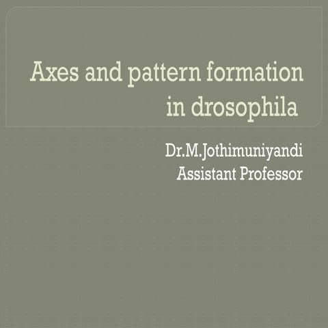 Developmental Specification & Differentiation | PDF