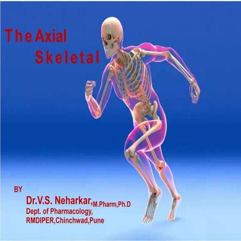 Axial Skeleton..........................