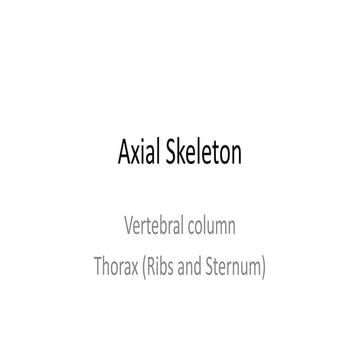 Axial skeleton, vertebrae and thorax