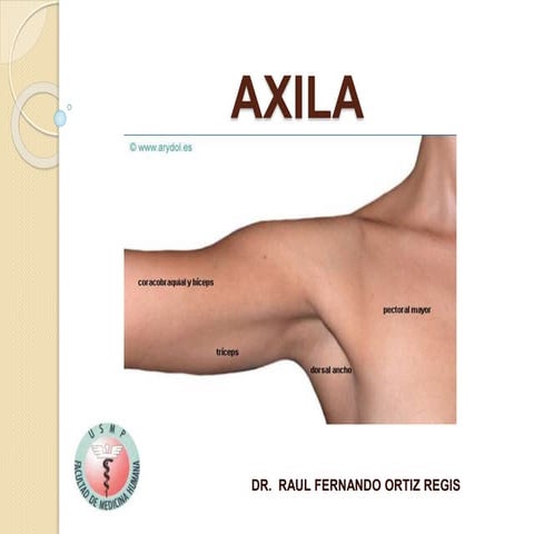 Ara II | DOCX