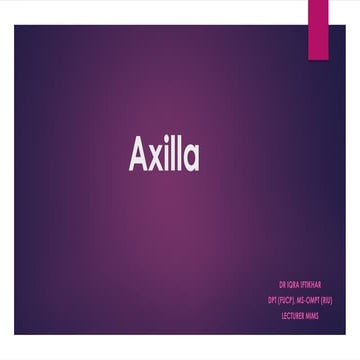 Anatomy of Axilla | PPTX