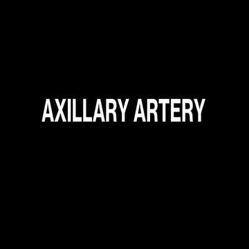 Axillary Artery (continuation of subclavian artery)