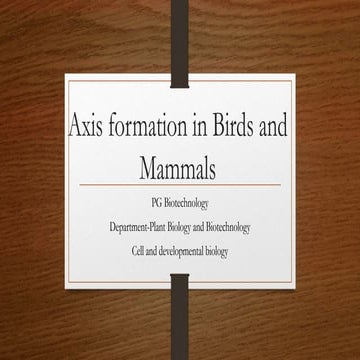 Axis formation in birds and mammals