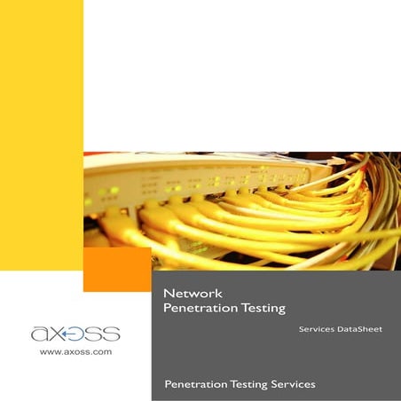 Axoss Network Penetration Testing Services