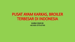 chercher gay agen chercher gay agen