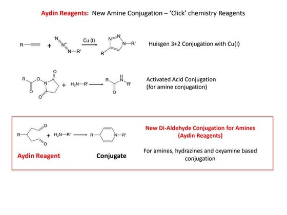 OrganoLinx Aydin Reagent Bioconjugation Introduction | PPTX
