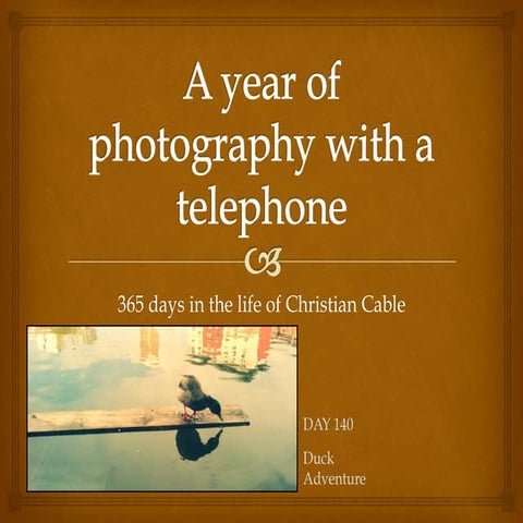 A year of photography with a telephone