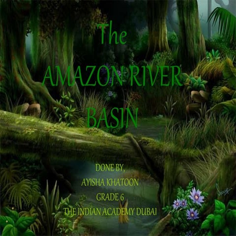 PPT ON AMAZON RIVER BAZIN | PPTX