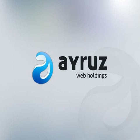 Ayruz Web Holdings