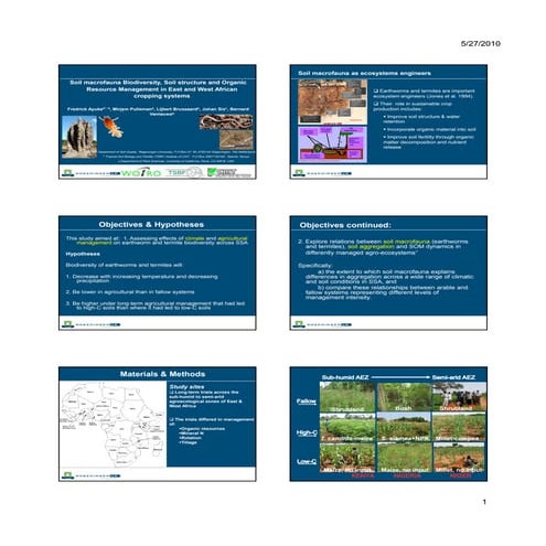 IPM | PDF